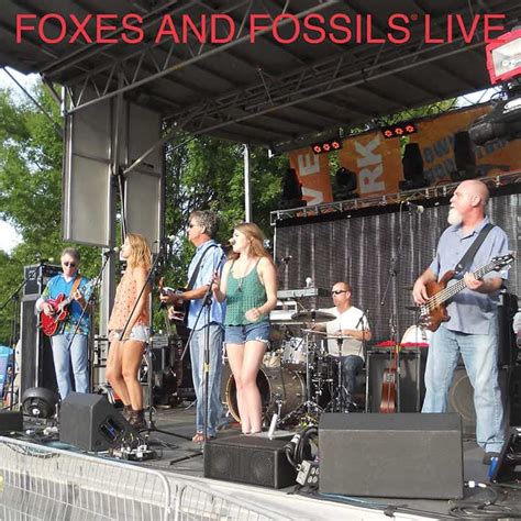 Foxes And Fossils Update