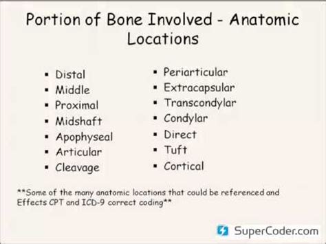 Fracture Coding Guidelines Cpt