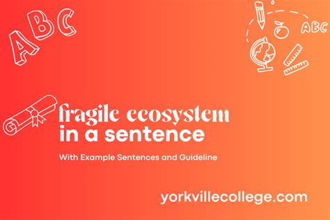 Fragile Ecosystem Example