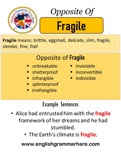 fragile meaning in english sentence