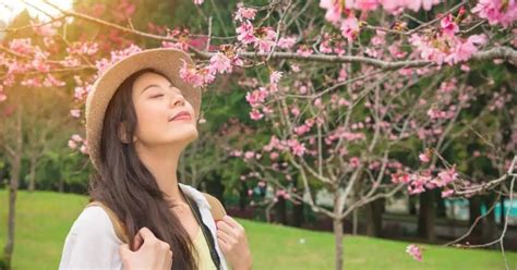 Fragrant Trees Zone 4