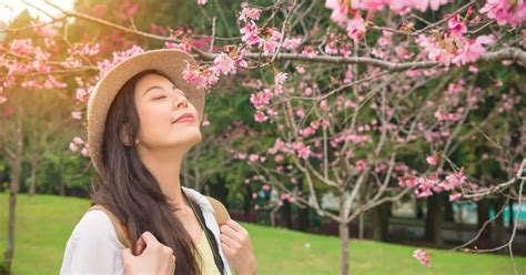 Fragrant Trees Zone 6