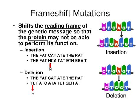 Frame Shift Example