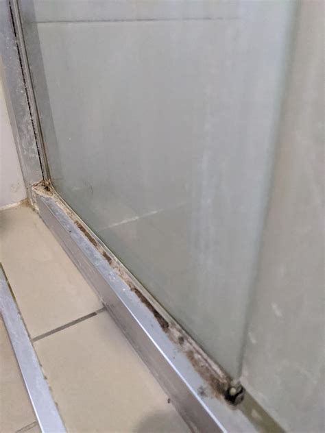 Frameless Shower Screen Leaking