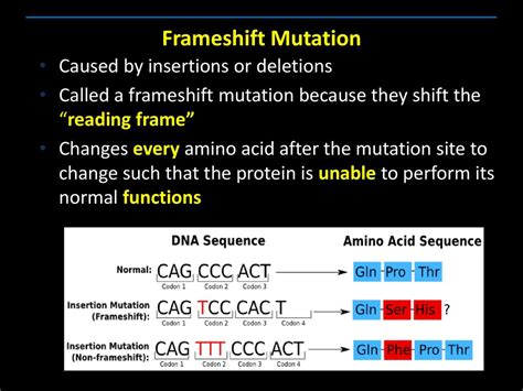 Frameshift Mutation Loss Of Function