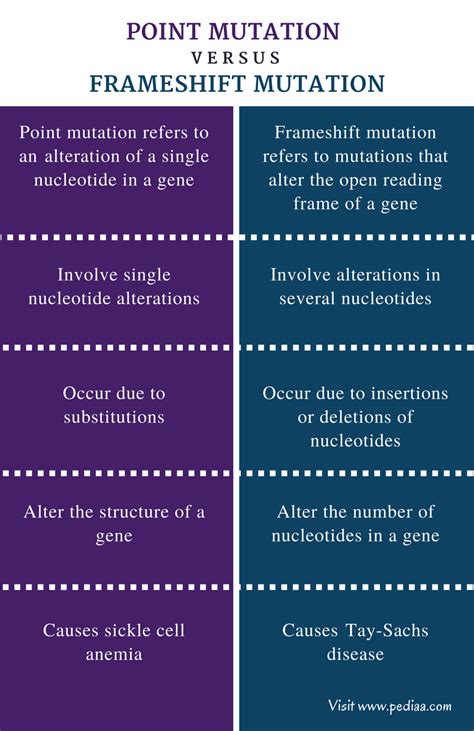 Frameshift Point Mutation Definition