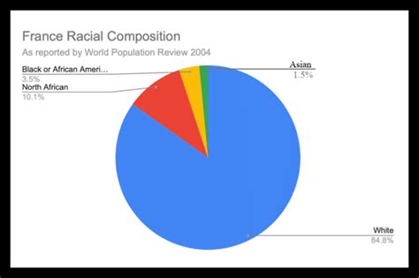 france demographics by race