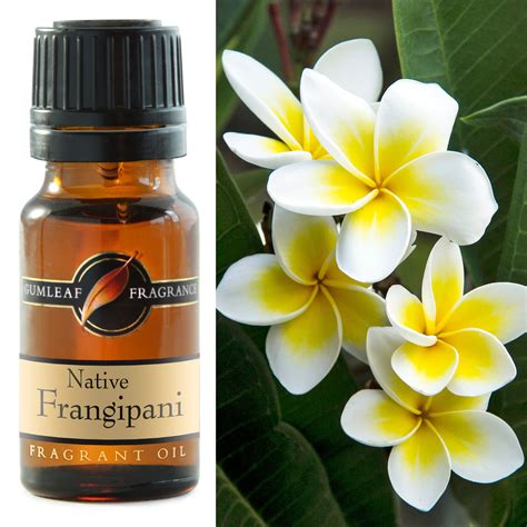 These 8 Amazing Benefits Of Frangipani Essential Oil Will Leave You