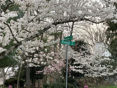 Frank Lopez Scarface