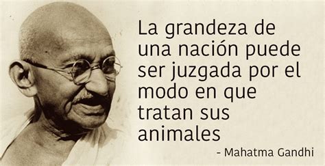 Frases Celebres De Gandhi Sobre Los Animales Solo Para Adultos En
