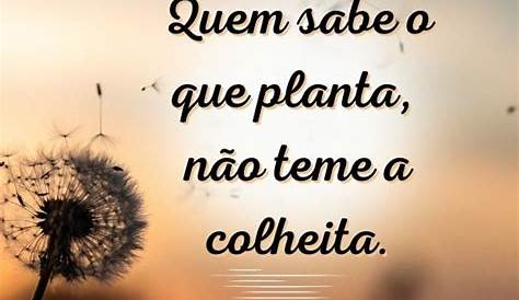 25+ melhores ideias de Lei do retorno no Pinterest | Frases lei do