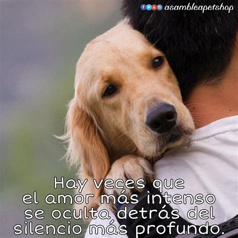 Los animales nos llenan de amor incondicional Animales frases