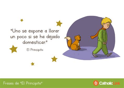 frases bonitas del principito