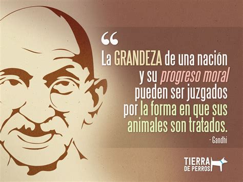 ProtecciÃ³n animales callejeros Frase de Mahatma Gandhi