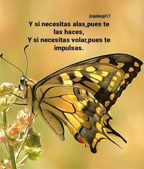Pin en mariposas, frases, positivas...