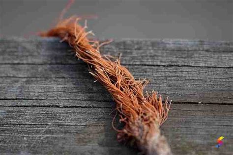 frayed meaning in tamil with example
