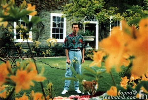 freddie mercury last photo alive