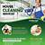 free cleaning service brochure templates free printable templates