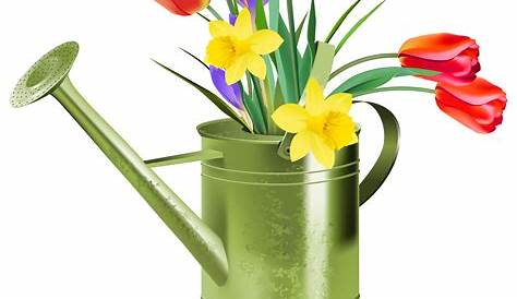 Spring Free Clipart Graphics | TheDailyStudio