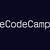 free code camp r programming
