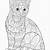 free coloring book pages cats