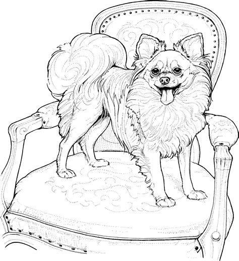 free coloring pages dogs pomeranian