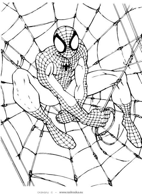 Free Coloring Pages Of Spiderman