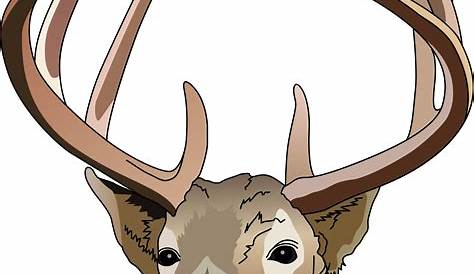 Deer Head Clipart | Free download on ClipArtMag