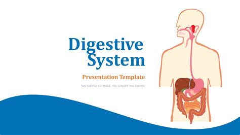 Free Digestive System Powerpoint Template