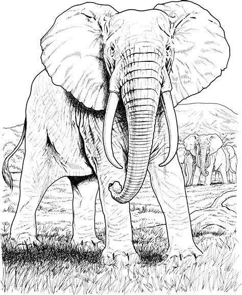 Get This African Elephant Coloring Pages Free Printable 89631