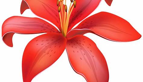 Flower Clipart - Png Download - Full Size Clipart (#5691342) - PinClipart