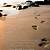 free footprints in the sand poem