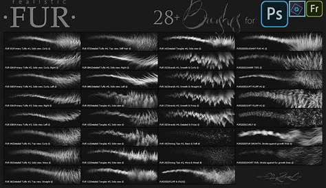 Custom Photoshop Brushes - Directional Hair / Fur Volume 2 - The Art of
