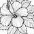 free hawiian flowers coloring pages to print