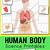 free human body printables for kindergarten