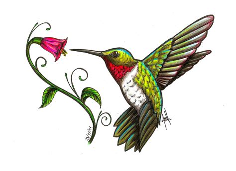 Powerful Free Hummingbird Tattoo Designs 2023