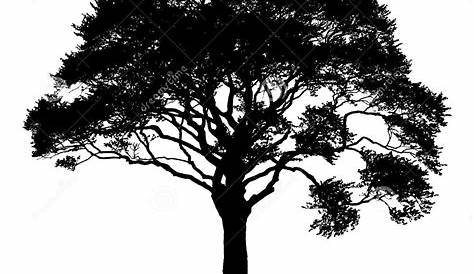 Onlinelabels Clip Art Detailed Large Oak Tree Silhouette | Images and