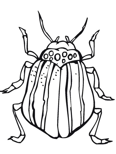 Free Insect Coloring Pages