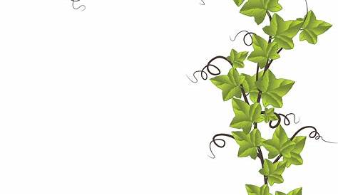 Ivy Page Borders - Free Transparent PNG Clipart Images Download