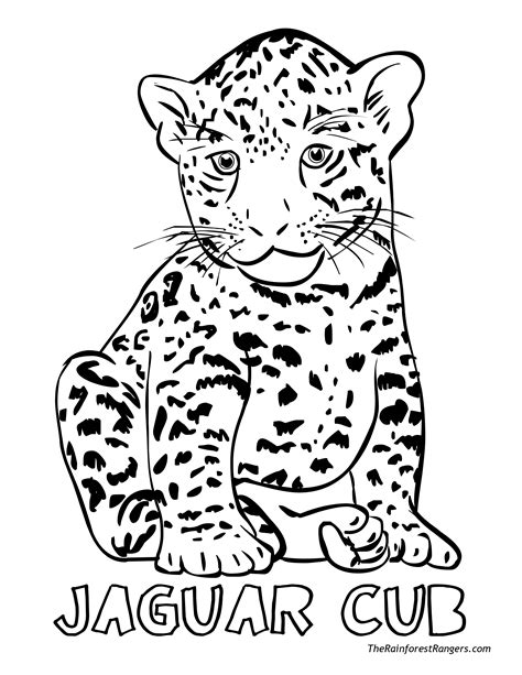 Jungle Animals Coloring Pages at Free printable