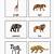 free montessori printables animals