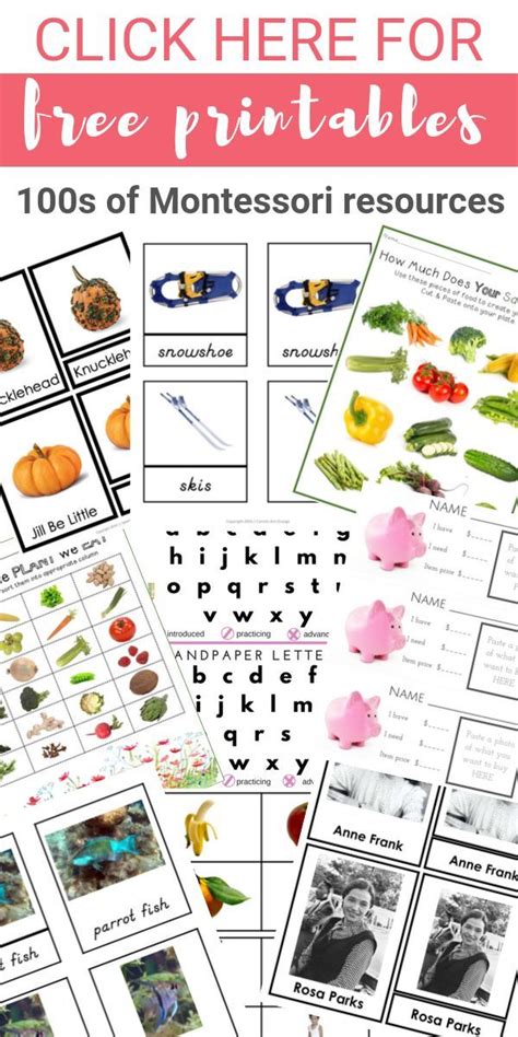 Printable Montessori Elementary Fraction Practice Etsy