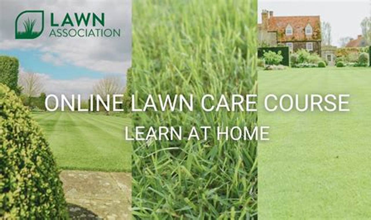 free online lawn care courses