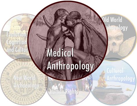 PPT MEDICAL ANTHROPOLOGY PowerPoint Presentation, free download ID