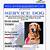 free printable ada service dog card - free printable