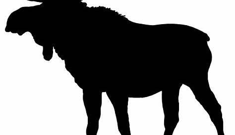 Free Animal Silhouette, Download Free Animal Silhouette png images