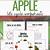 free printable apple life cycle printable