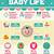 free printable baby infographic template