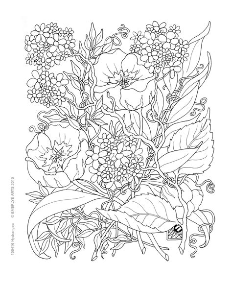 Botany Coloring Pages Coloring Home