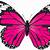 free printable butterfly images
